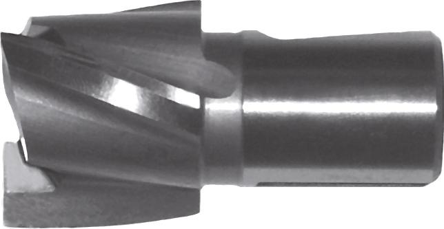 GFS Zapfensenker – Gr. 2